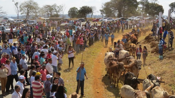 Portal Minas Gerais Eventos FESTIVAL DO CARRO DE BOI