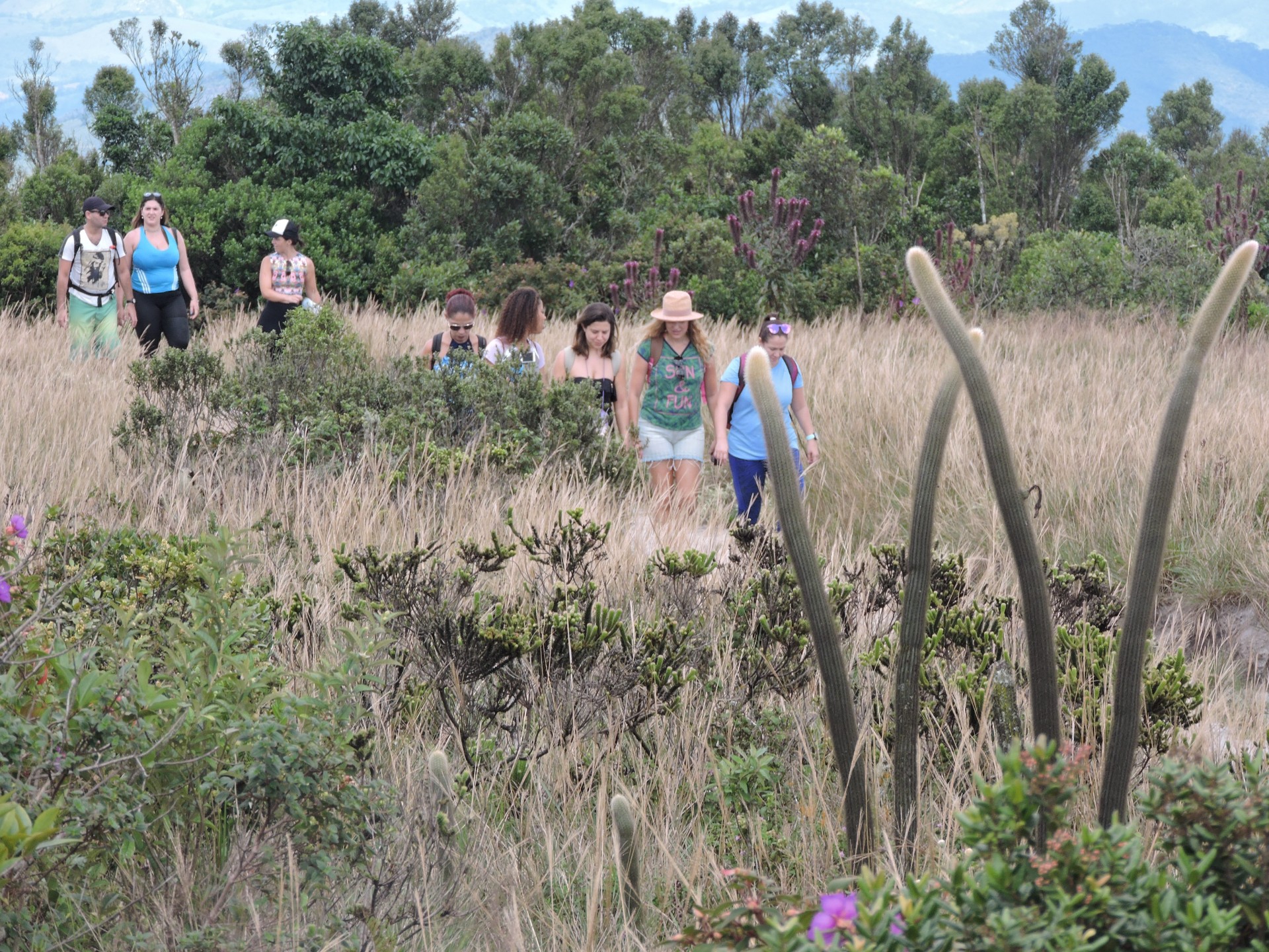 Alto Gerais Turismo - Imagem 10