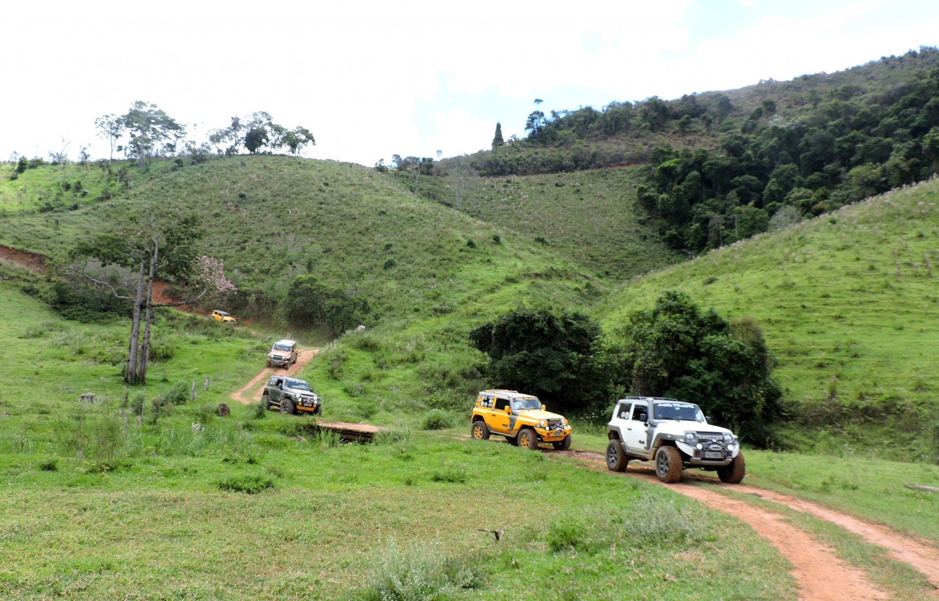 Alto Gerais Turismo - Imagem 11