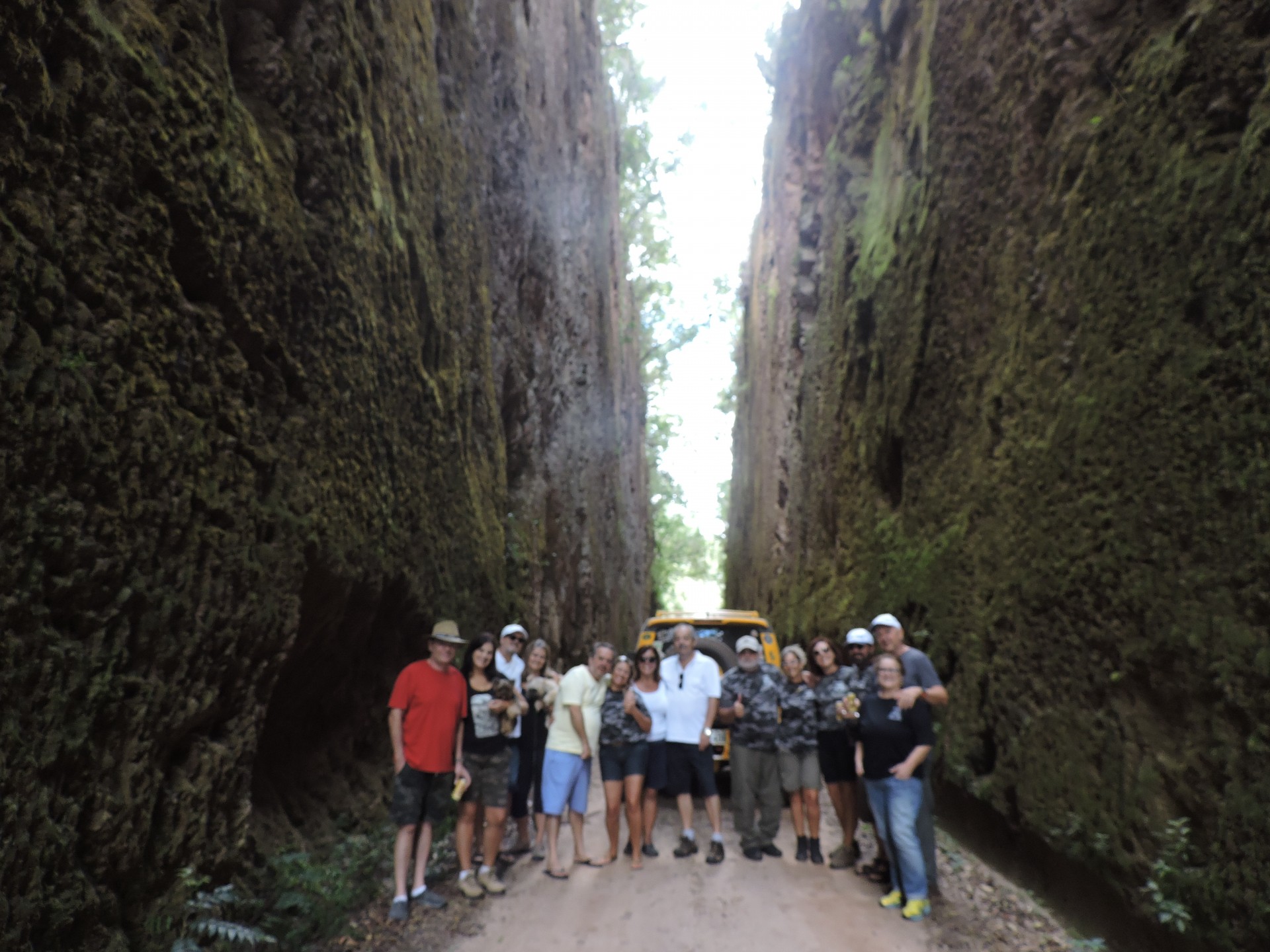 Alto Gerais Turismo - Imagem 12