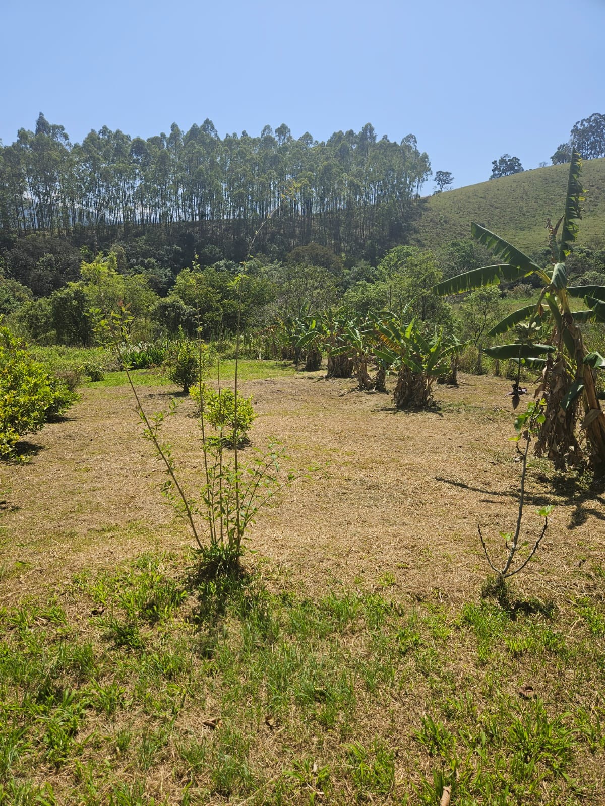 Camping Beija Flor