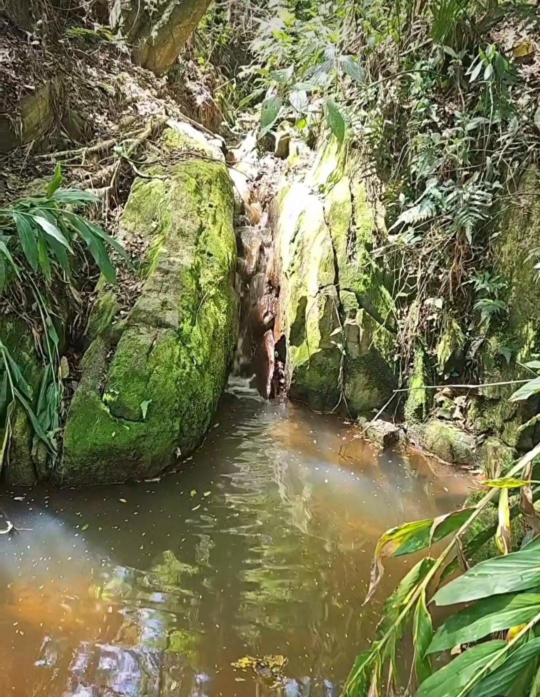 Camping Beija Flor