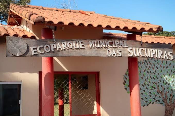 Ecoparque Municipal das Sucupiras - Coleirinho Sporophila