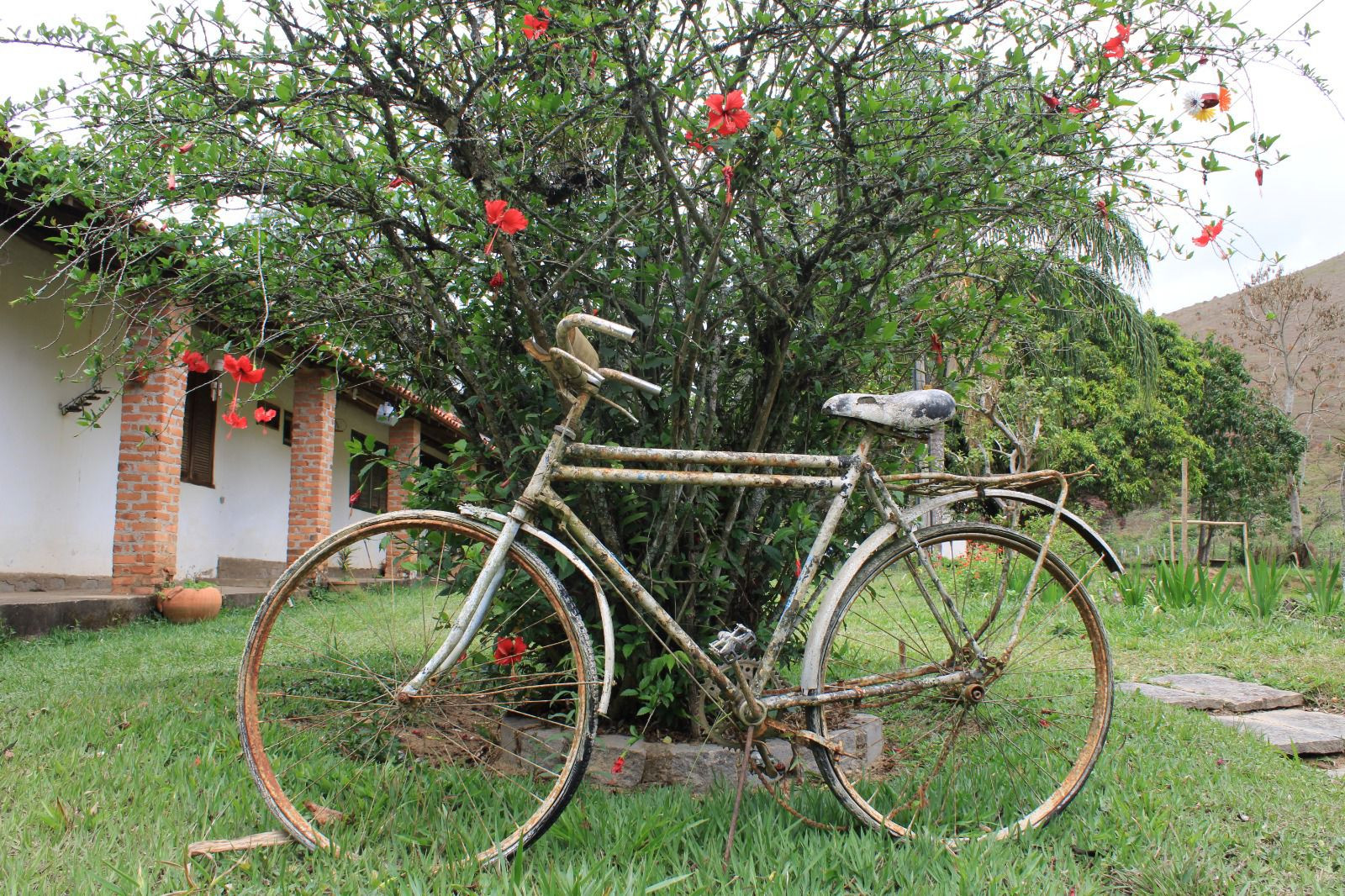 Pousada Jacutinga