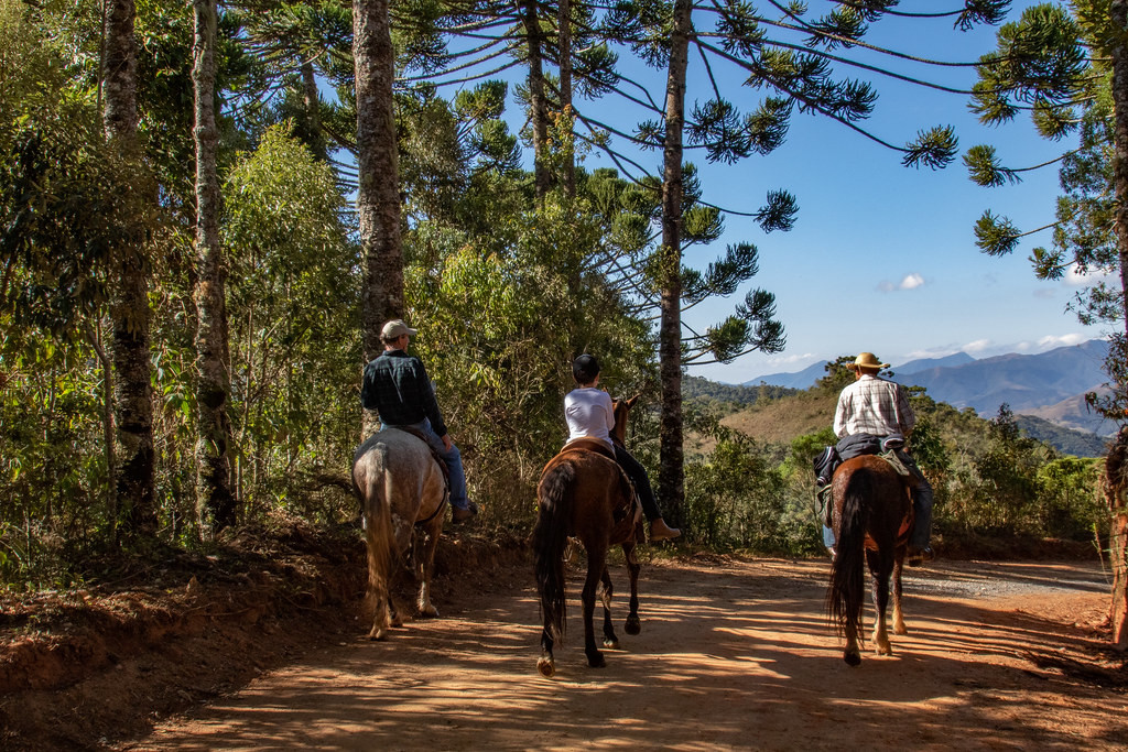 Araú Turismo