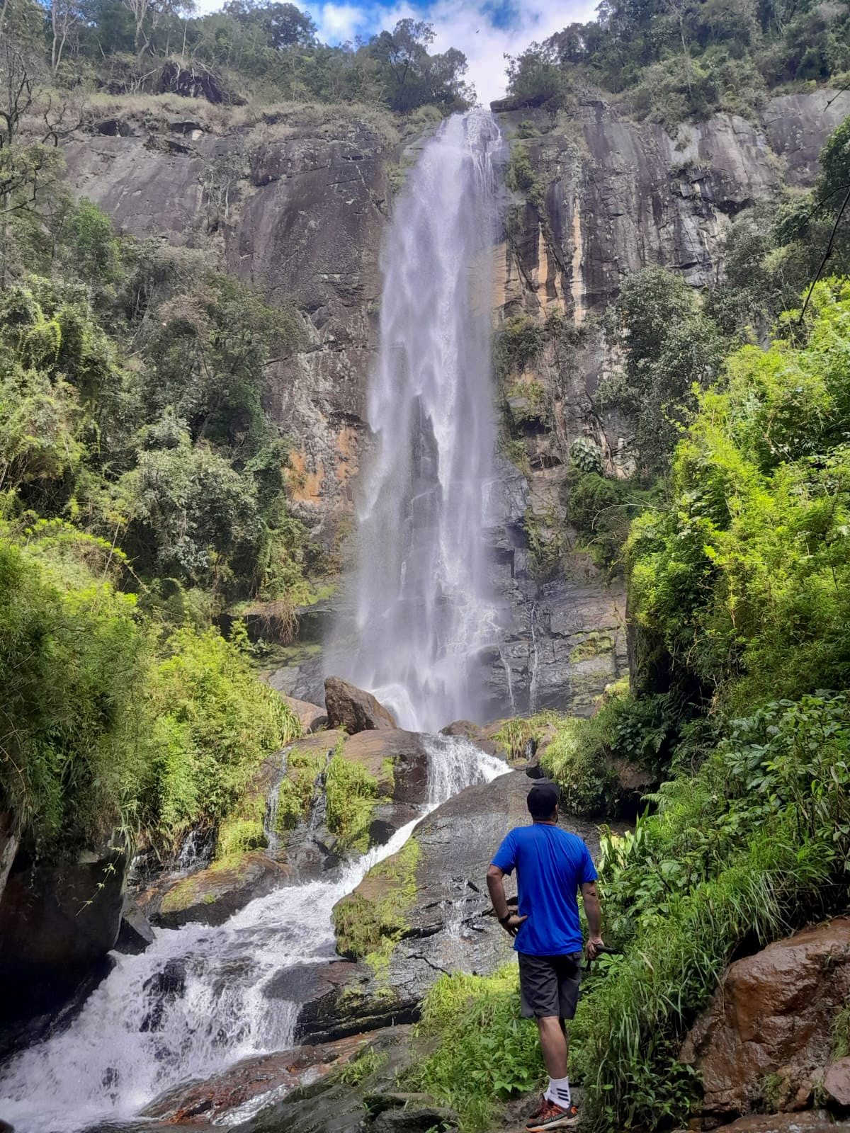 Araú Turismo