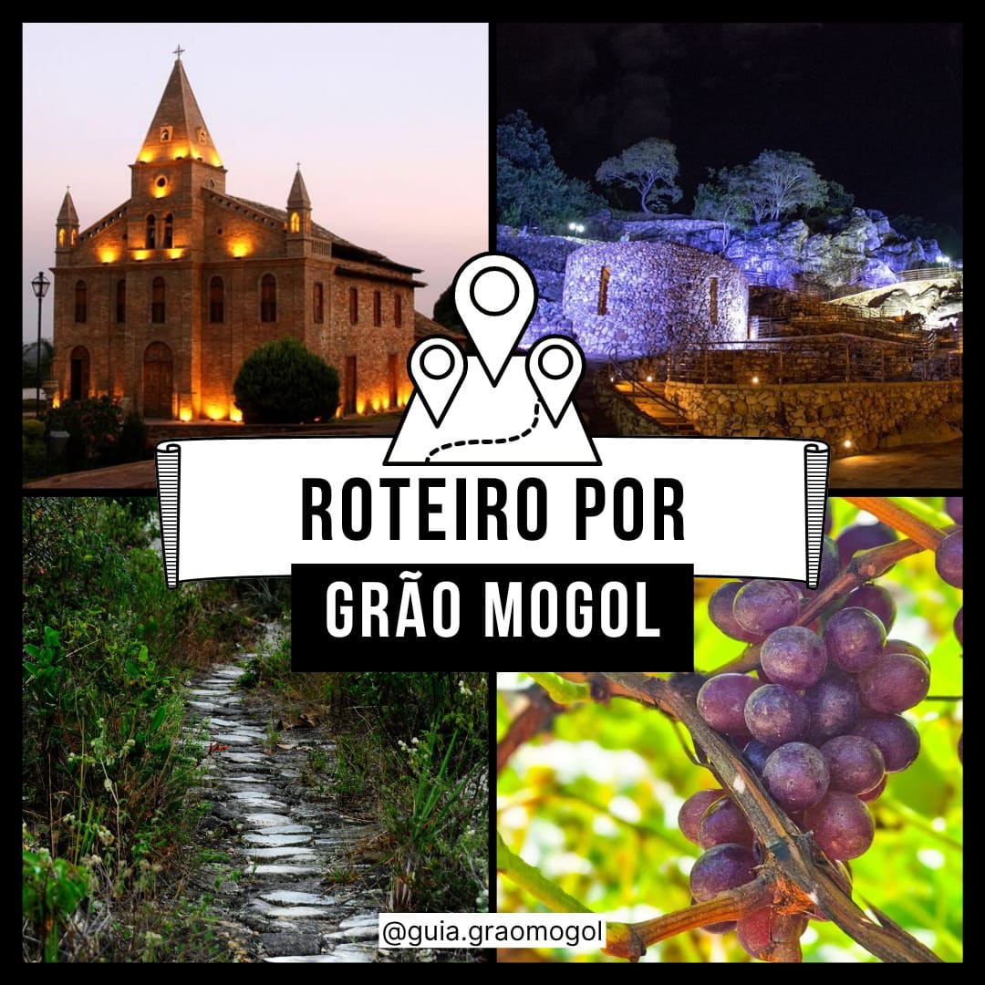 GUIA GRÃO MOGOL