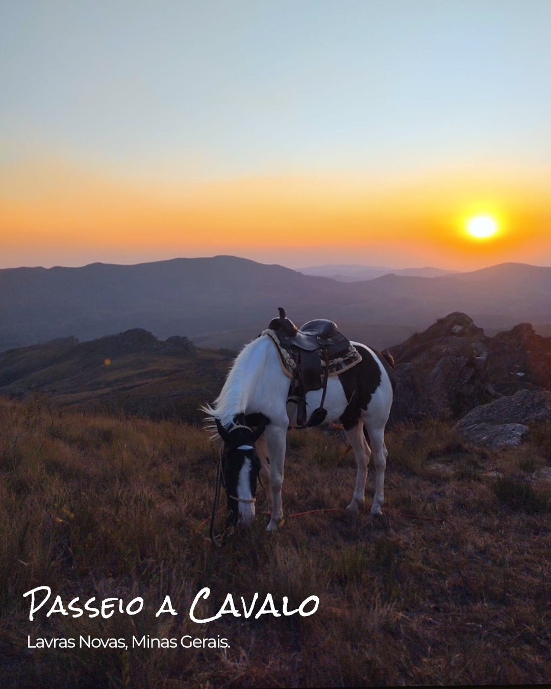 Sempre Viva Ecoturismo 