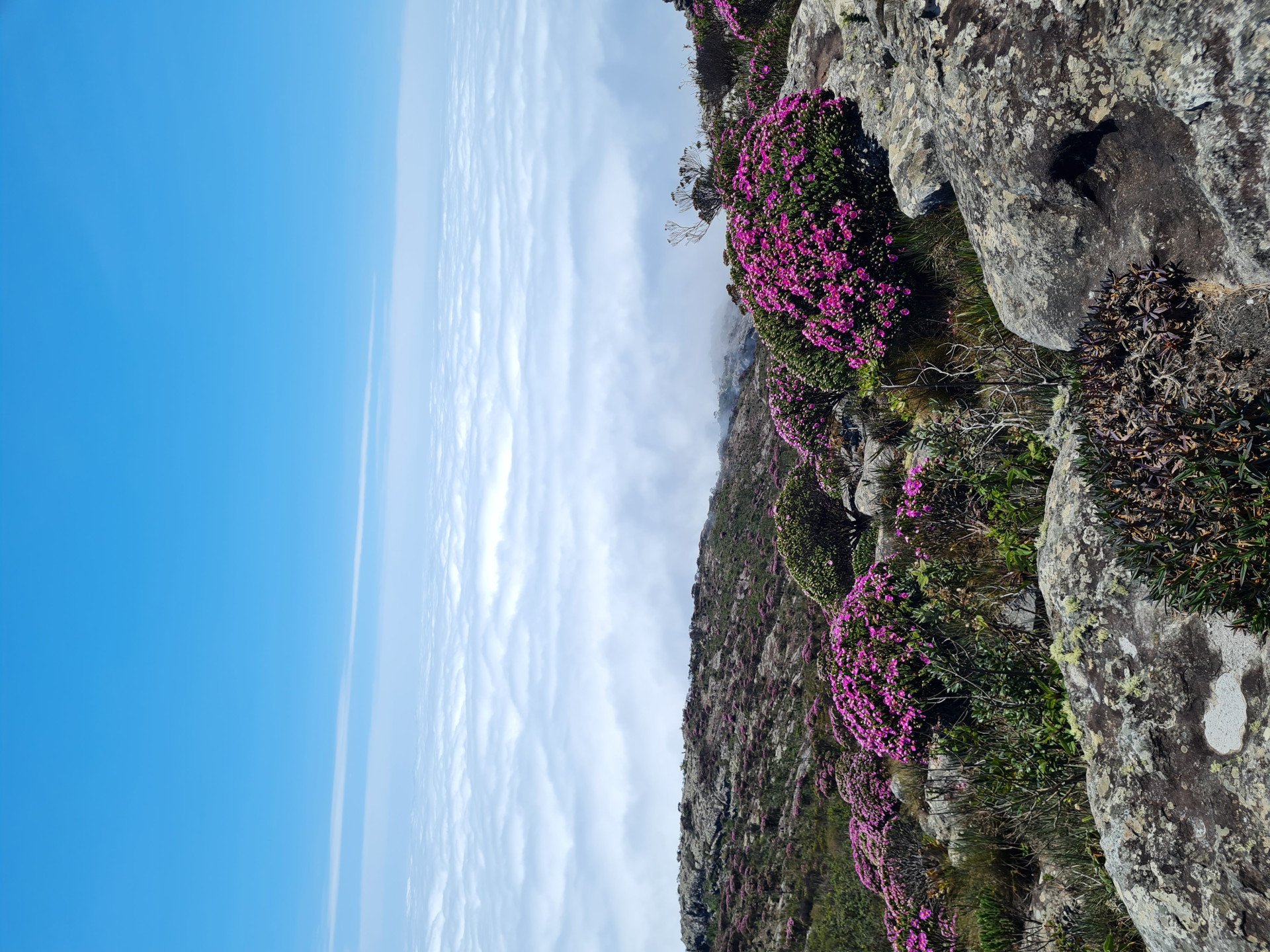 Uel Trekking