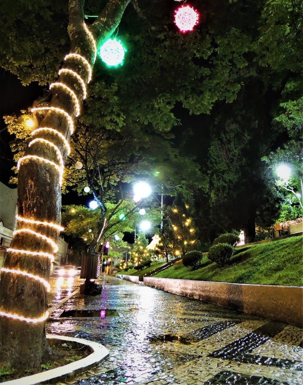 Veja fotos do Natal Iluminado 2023